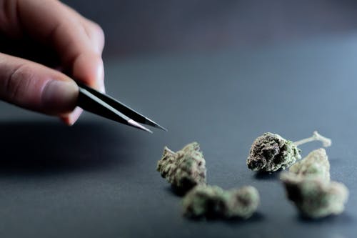Reasons to Consider Dabbing Cannabis Concentrates