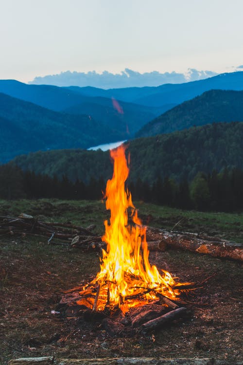 5 Immediate Steps You Should Take After a House Fire