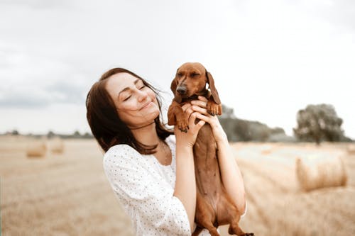 Discover the Latest Breakthroughs in Pet Laboratory and Pharmacy: How It’s Transforming Veterinary Medicine