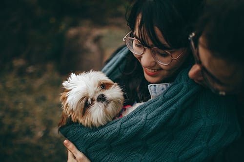 Designing a Secure Outdoor Space for Your Pet: Safety Tips and Tricks