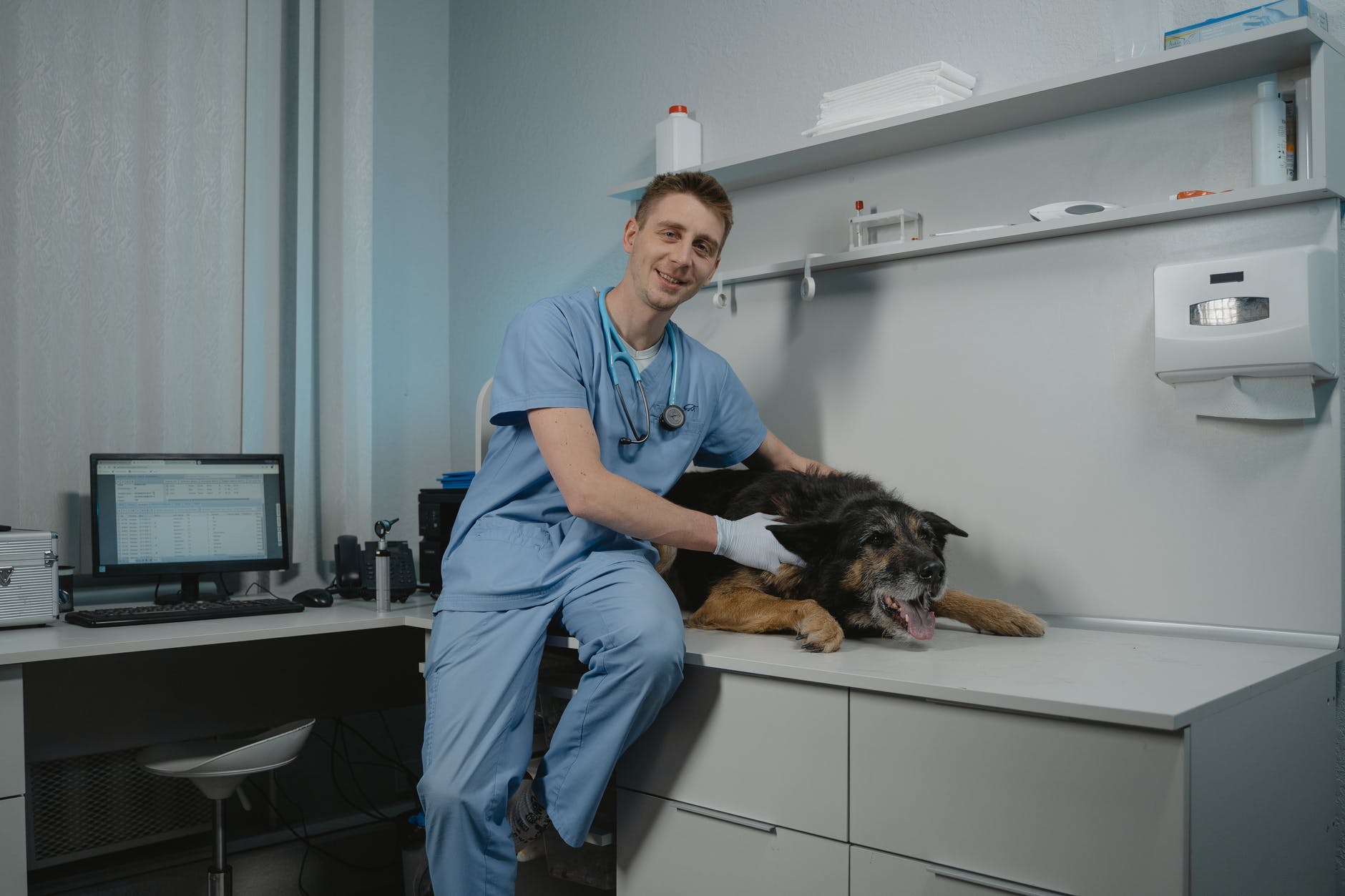 What Makes a Vet Facility With Complete Service Stand Out?