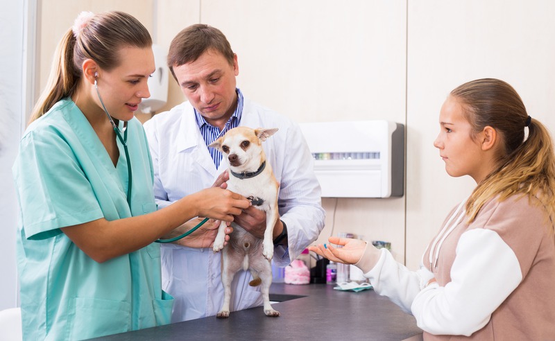When Does Your Pet Need a Specialist Consult?