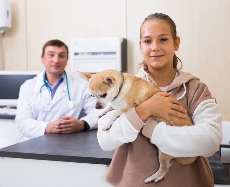 What to Expect During Your Pet’s Sterilization Surgery