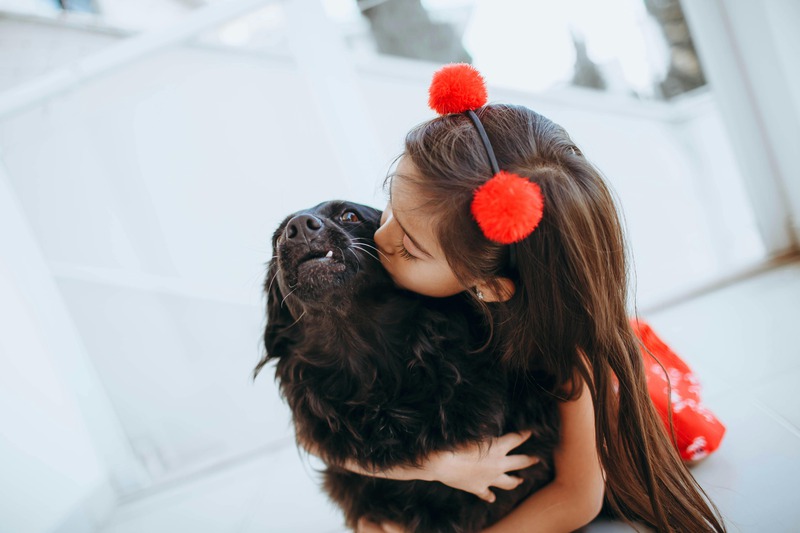 What is the Importance of Deworming My Pets?
