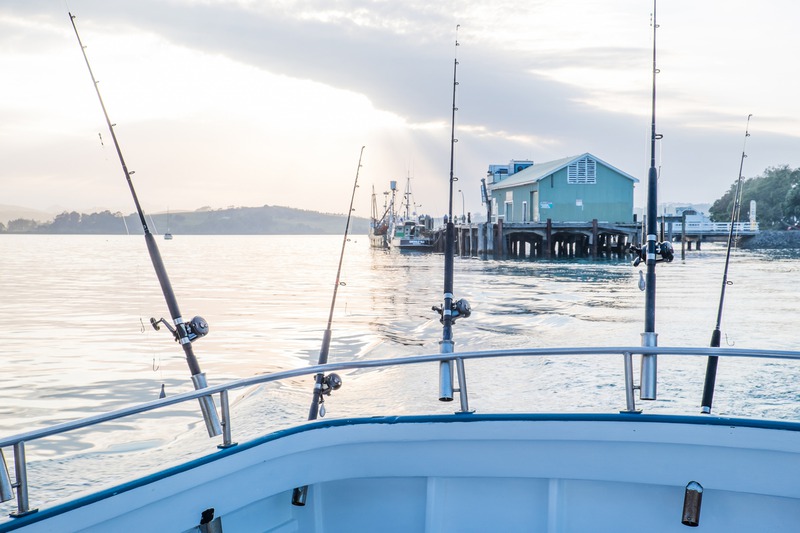 What Types of Fish Can You Catch on Charter Fishing Trips?