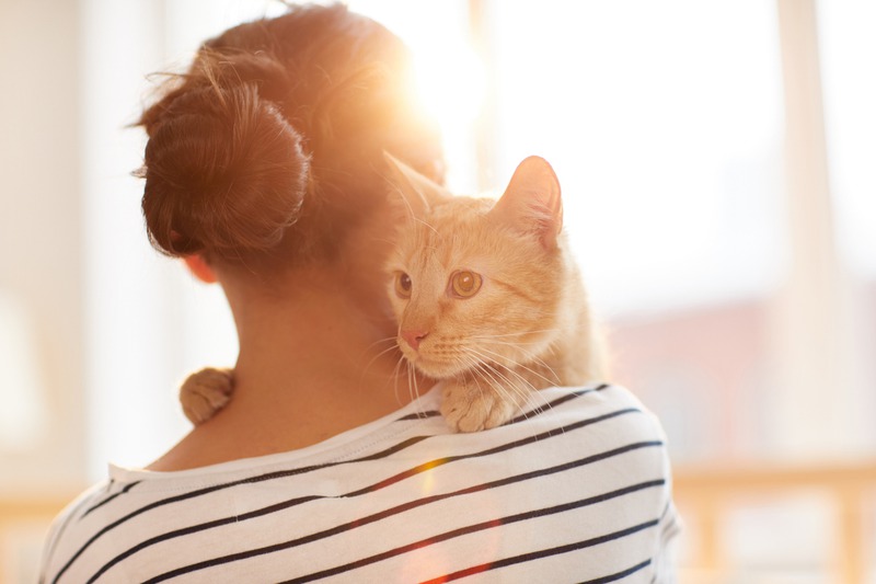 Why Should You Follow Up After a Vet Visit?
