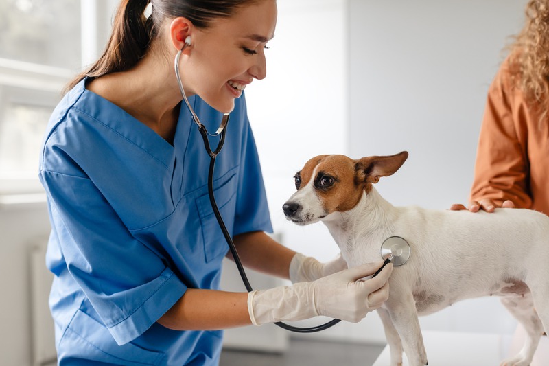 How Does Vaccination Reduce Surgery Risks in Pets?