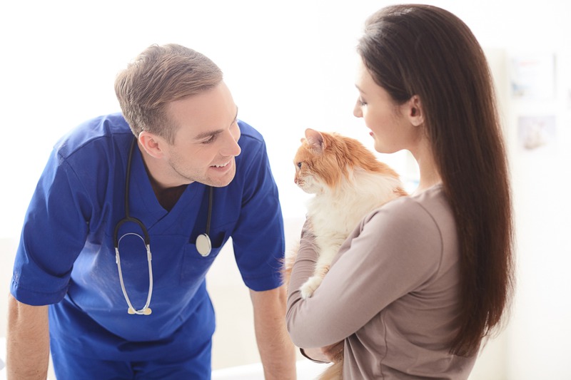 How Can Routine Vet Visits Improve My Pet’s Lifespan?