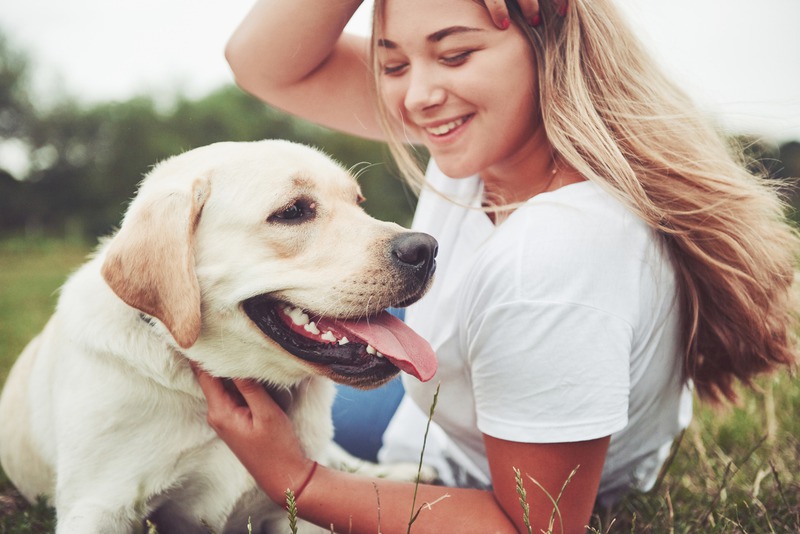 Can Pet Illnesses Be Prevented with Regular Lab Tests?