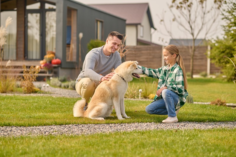 Where Do Pets Pick Up Parasites Most Frequently?