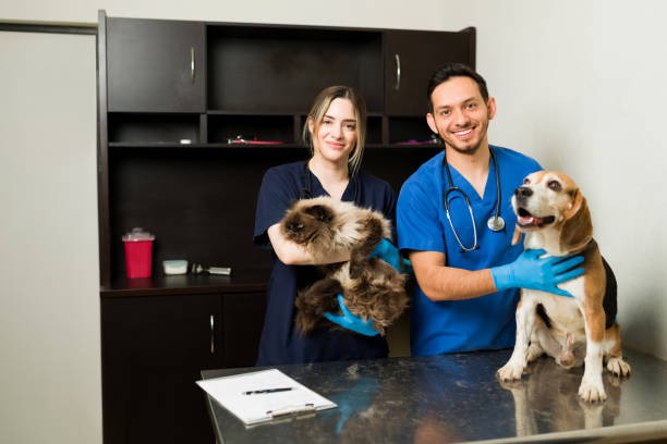 What Vaccines Do Pets Need Before Undergoing Surgery?