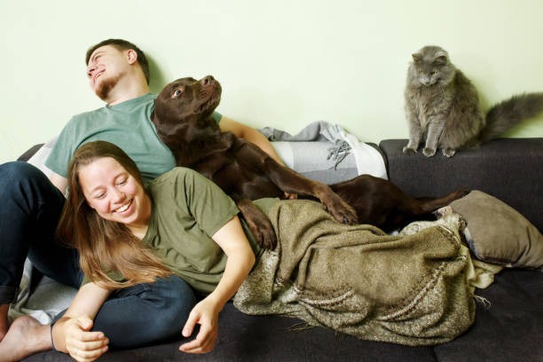 How Can You Tell if Your Pet Needs Emergency Medical Attention?