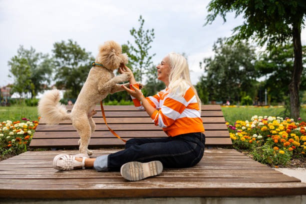 How Do Diagnostics Support Pet Wellness Exams?