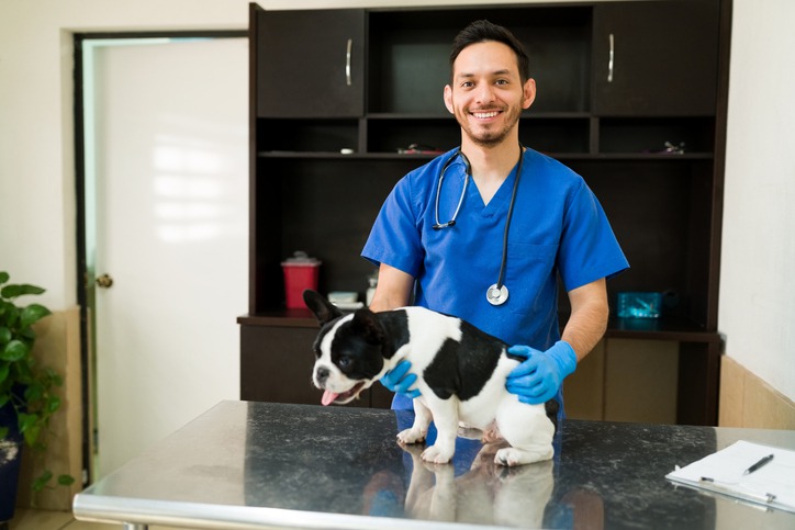 How Do You Choose the Right Veterinarian for Your Pet?