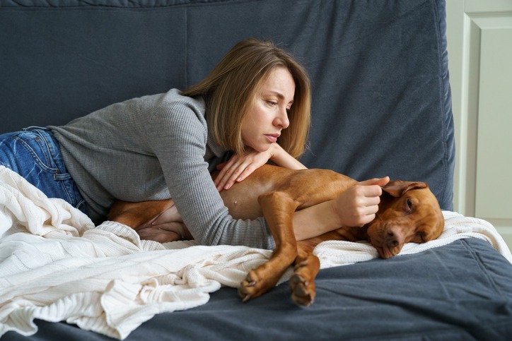 What Are the Signs My Pet Needs Urgent Medical Attention?