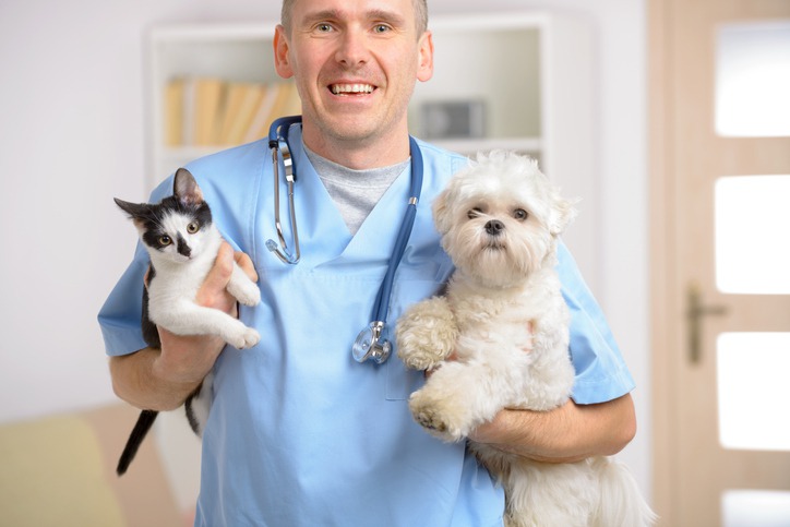 What Are the Signs My Puppy or Kitten Needs to See a Vet?